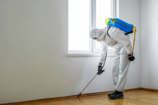 Best Emergency Pest Control  in Freeland, MI